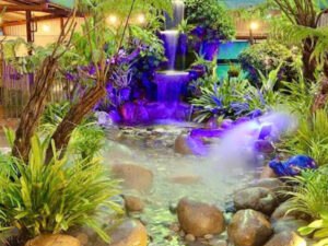 vuonhaxinh suoinhantaoj