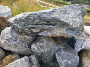 vuonnhaxinh davanmay