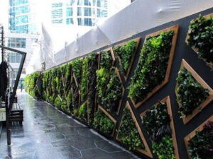 vuonnhaxinh tuongcayxanh