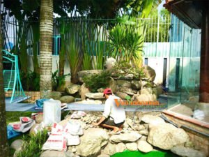 vuonnhaxinh duanlongan