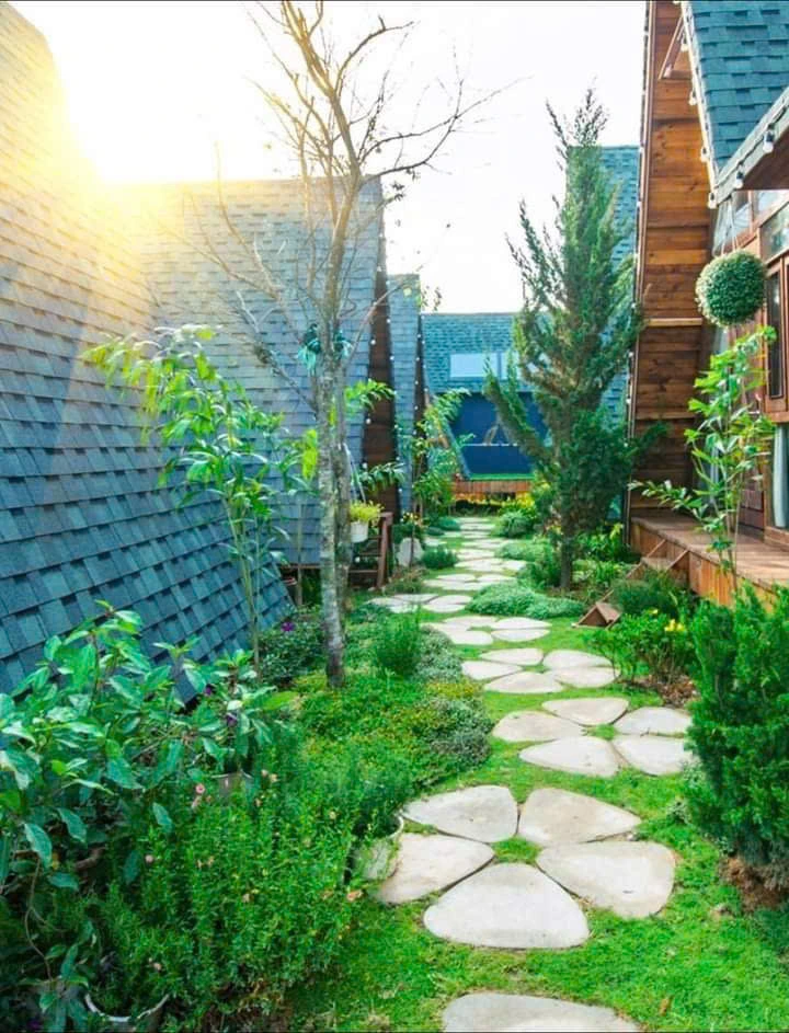Thiết kế lối đi sân vườn