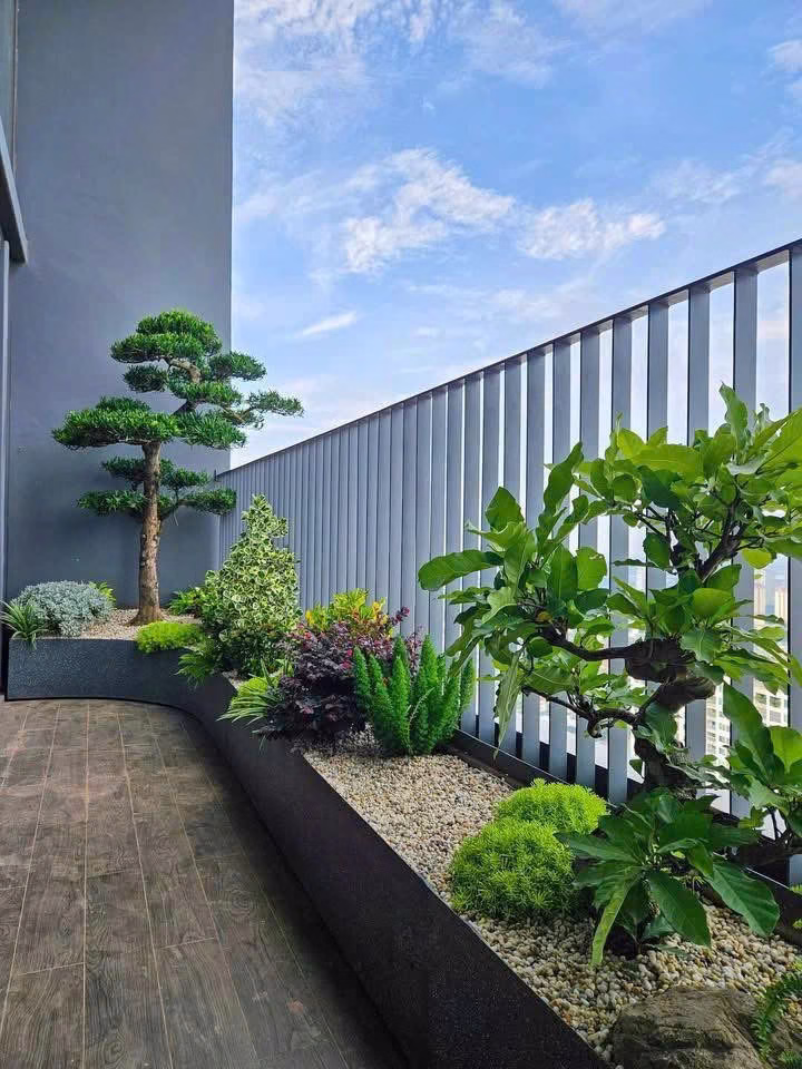 Tiểu cảnh ban công bằng chậu composite