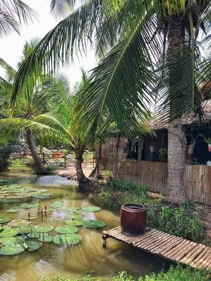 Đặc trưng của sân vườn miền Tây