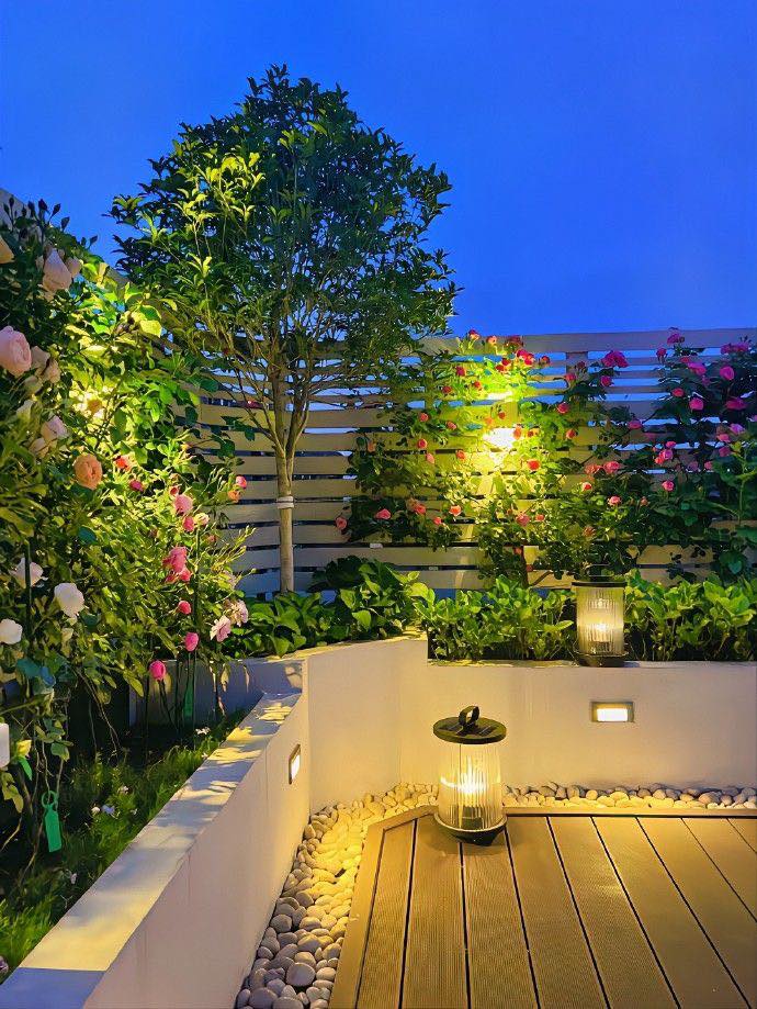 Dịch vụ chăm sóc sân vườn nhà phố chuyên nghiệp