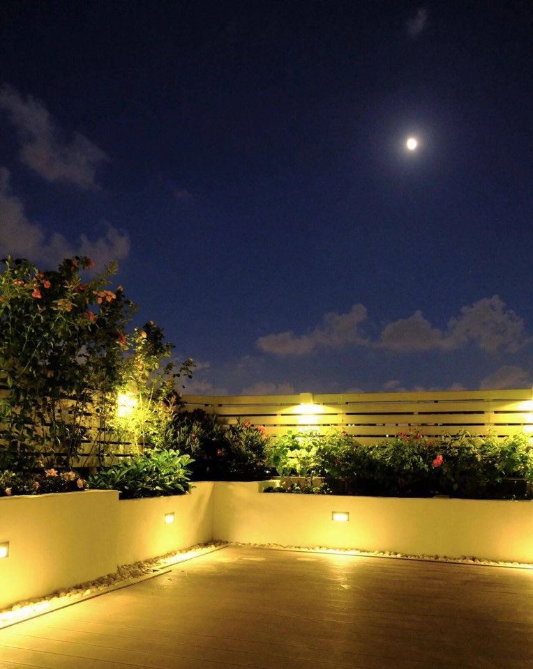 Đội ngũ Vườn Nhà Xinh bảo dưỡng cảnh quan định kỳ