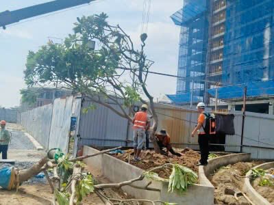 Giám sát thi công nhà vườn