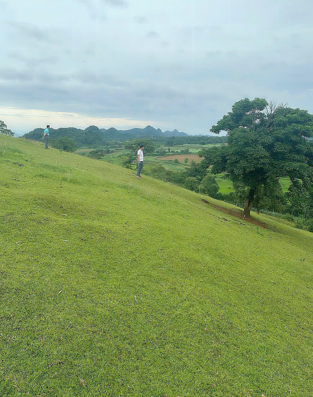 Khảo sát quy trình thiết kế nhà vườn