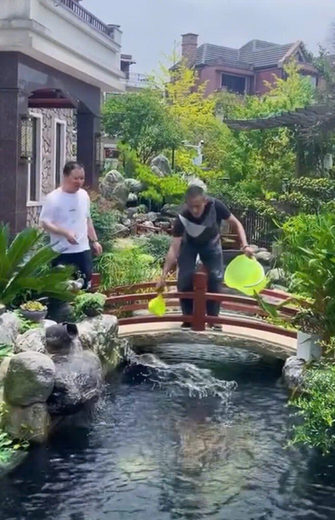 hoàn tất vệ sinh