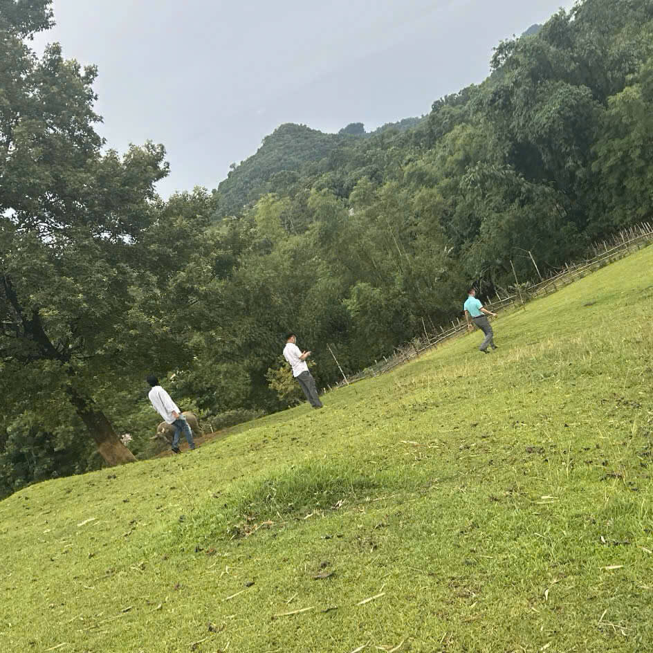 khao sat thiet ke nha vuon