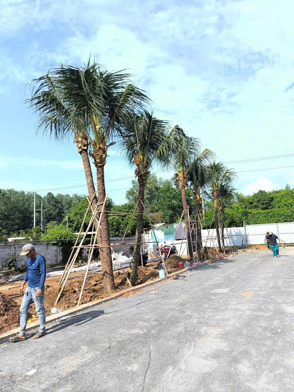 Thảm cỏ và tiểu cảnh khu công nghiệp