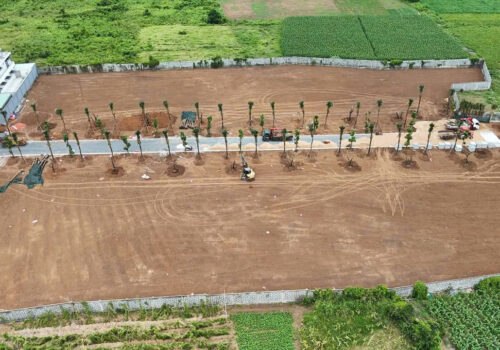 Thi công sân vườn khu công nghiệp - Vườn Nhà Xinh
