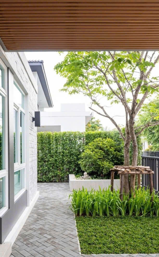 thiết kế sân vườn nhà phố hiện đại