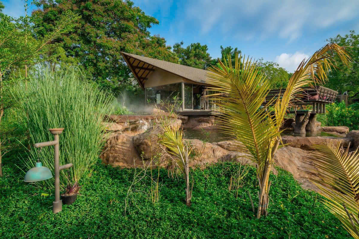 thiết kế sân vườn