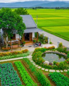 Sân vườn miền tây