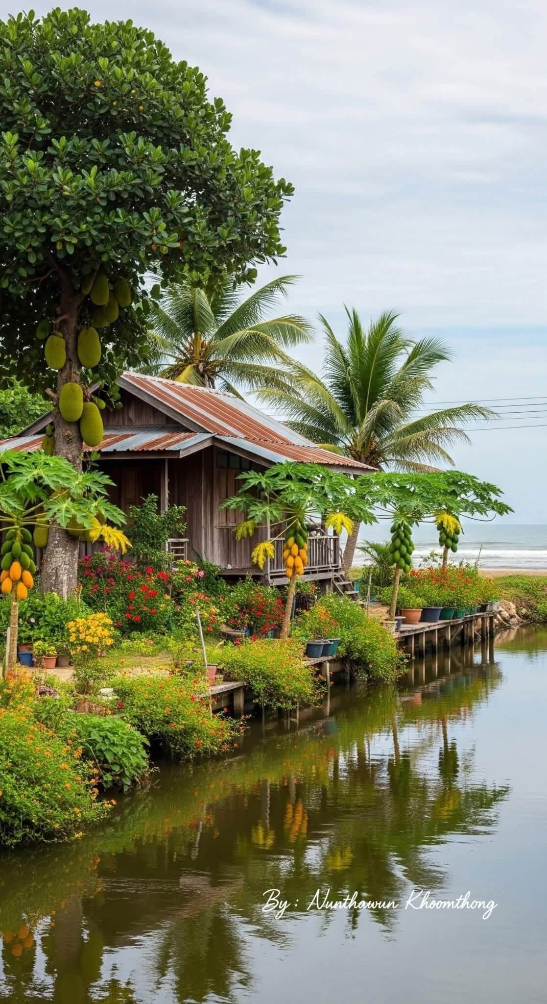 Sân vườn miền tây cây ăn trái