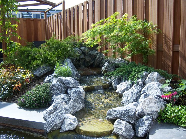 Sân vườn Tropical