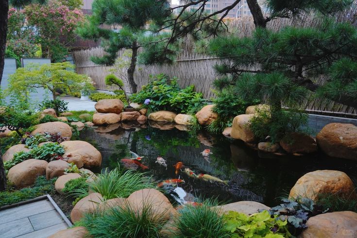 Suối nhân tạo hồ cá Koi – Sự kết hợp hoàn hảo của thiên nhiên 1 Suối nhân tạo hồ cá koi