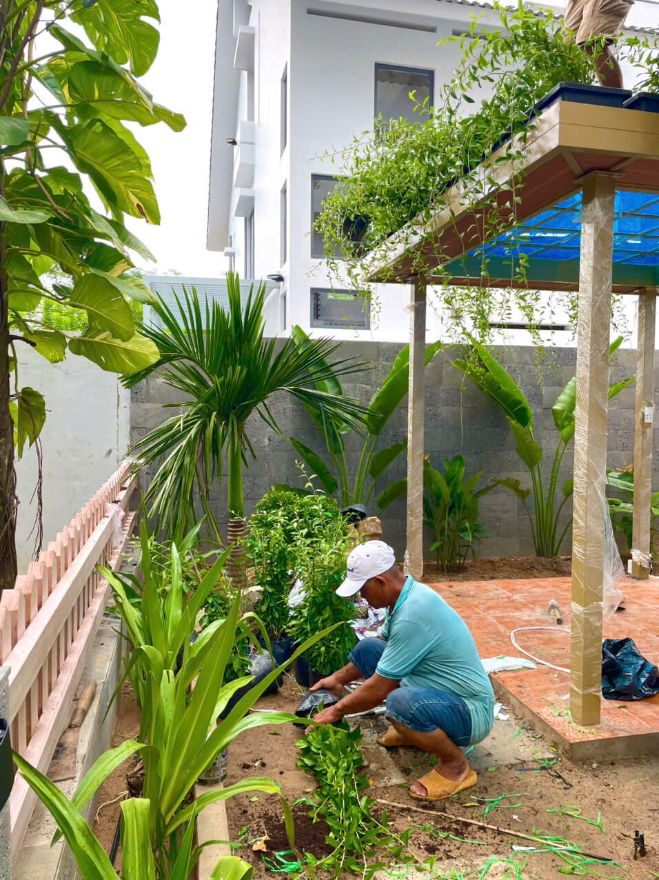 Tổng thể sân vườn với hàng rào gỗ trang trí