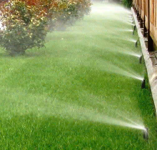 Tưới nước tự động