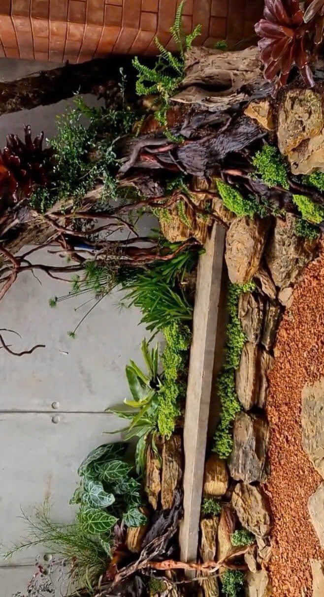 Vườn nhiệt đới ban công