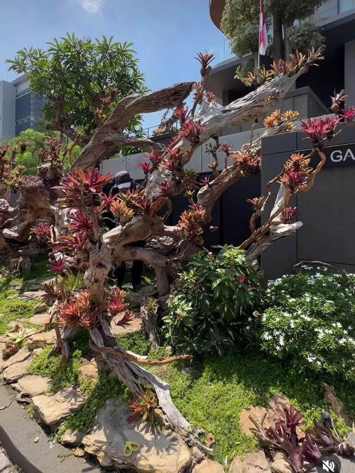 Vườn nhiệt đới biệt thự