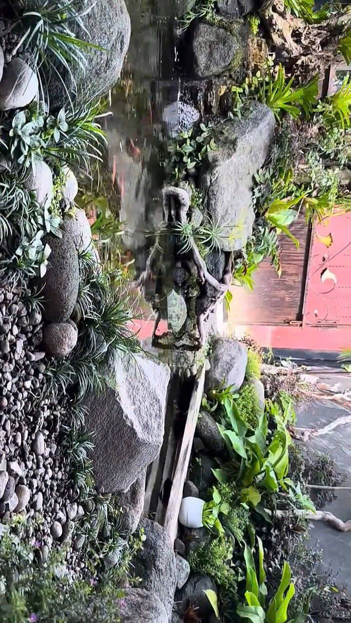 Vườn nhiệt đới hồ cá koi