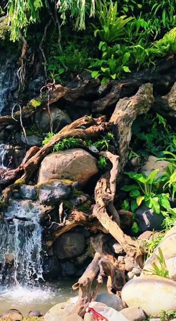 Vườn nhiệt đới