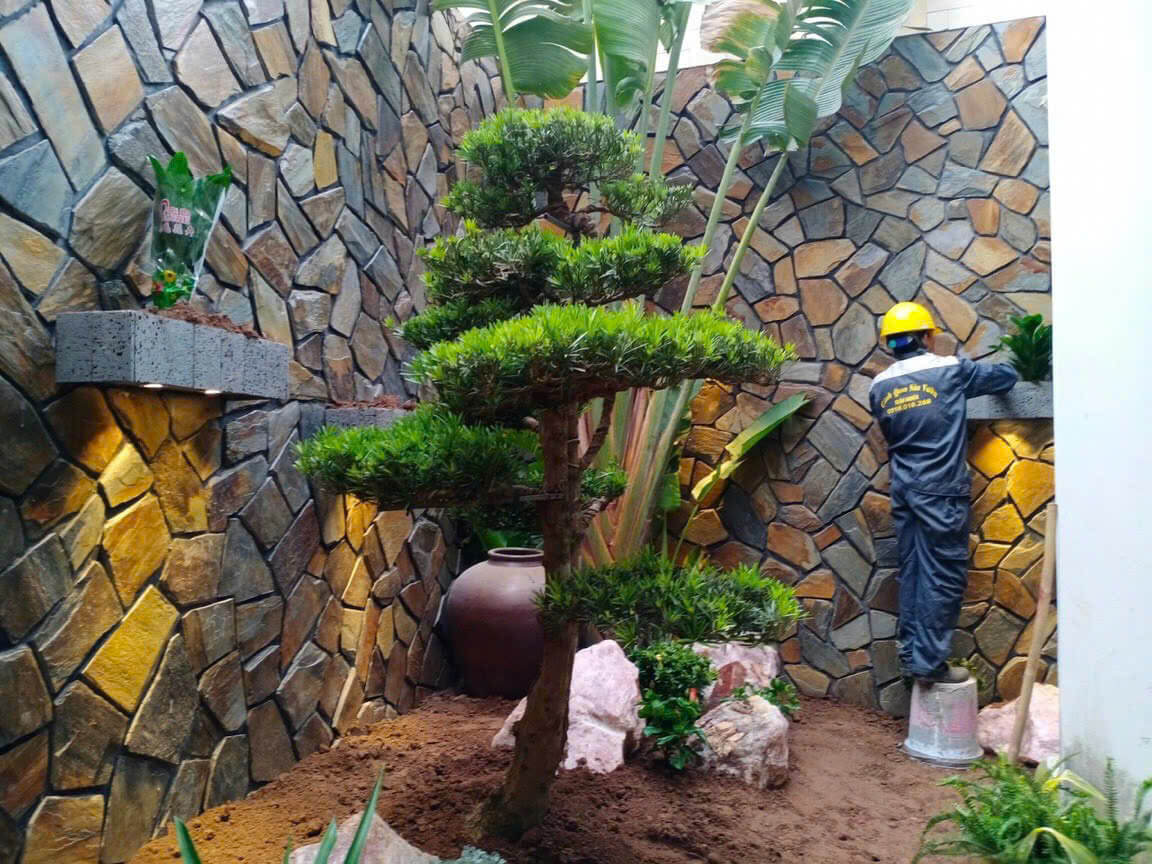 Đá chẻ - đèn LED - Cây tùng