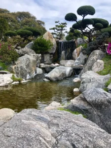 Thi công hòn non bộ