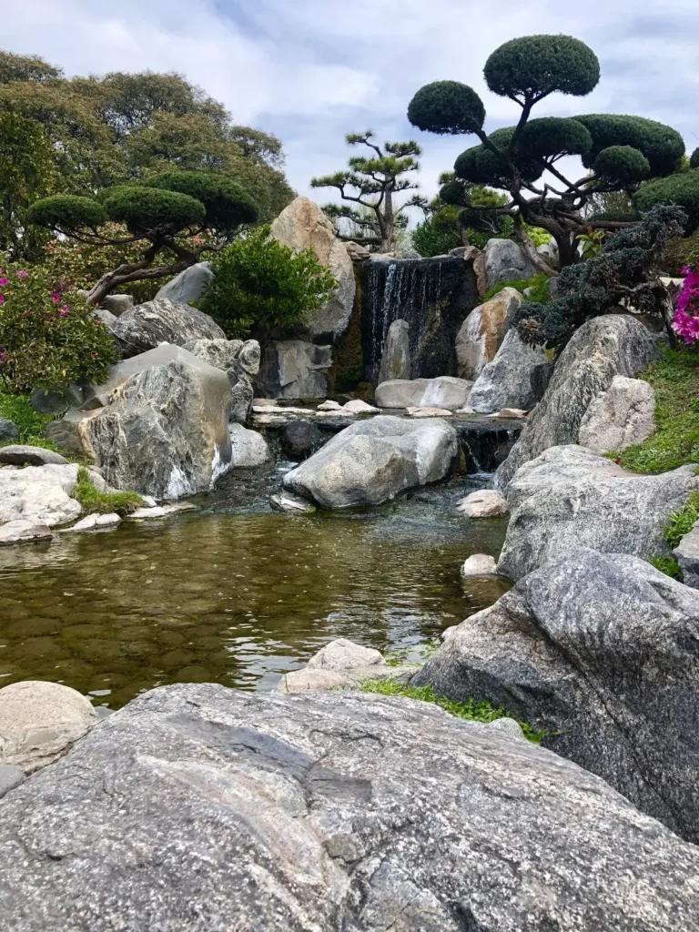 Thi công hòn non bộ